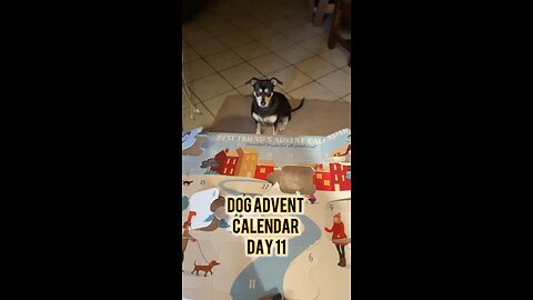 Himalayan Dog Chew 24 Joyful Days Dog Advent Calendar Day 11 #christmas #dogtreats #adventcalendar