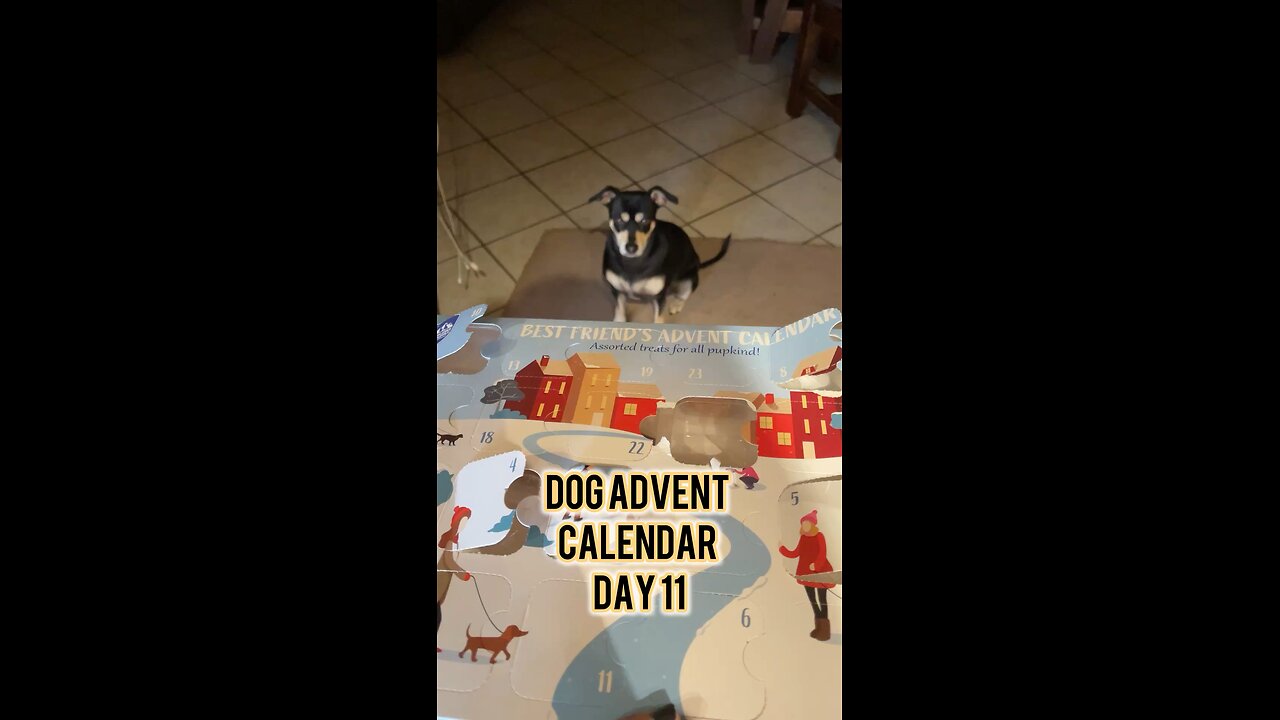 Himalayan Dog Chew 24 Joyful Days Dog Advent Calendar Day 11 #christmas #dogtreats #adventcalendar