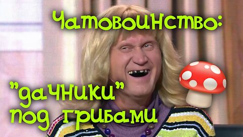 🍄 Чатовоинство: "дачники" под грибами