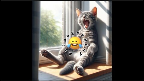 New Funny Animals part 2