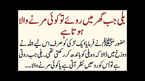 Hazoor ﷺ Nay Farmaya Billi k Bary main | islamic Sachy Waqiat