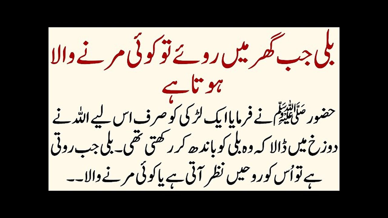 Hazoor ﷺ Nay Farmaya Billi k Bary main | islamic Sachy Waqiat