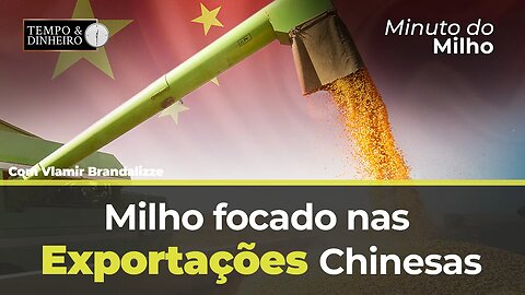 Milho tem mercado focado nas importações chinesas e safra no Brasil