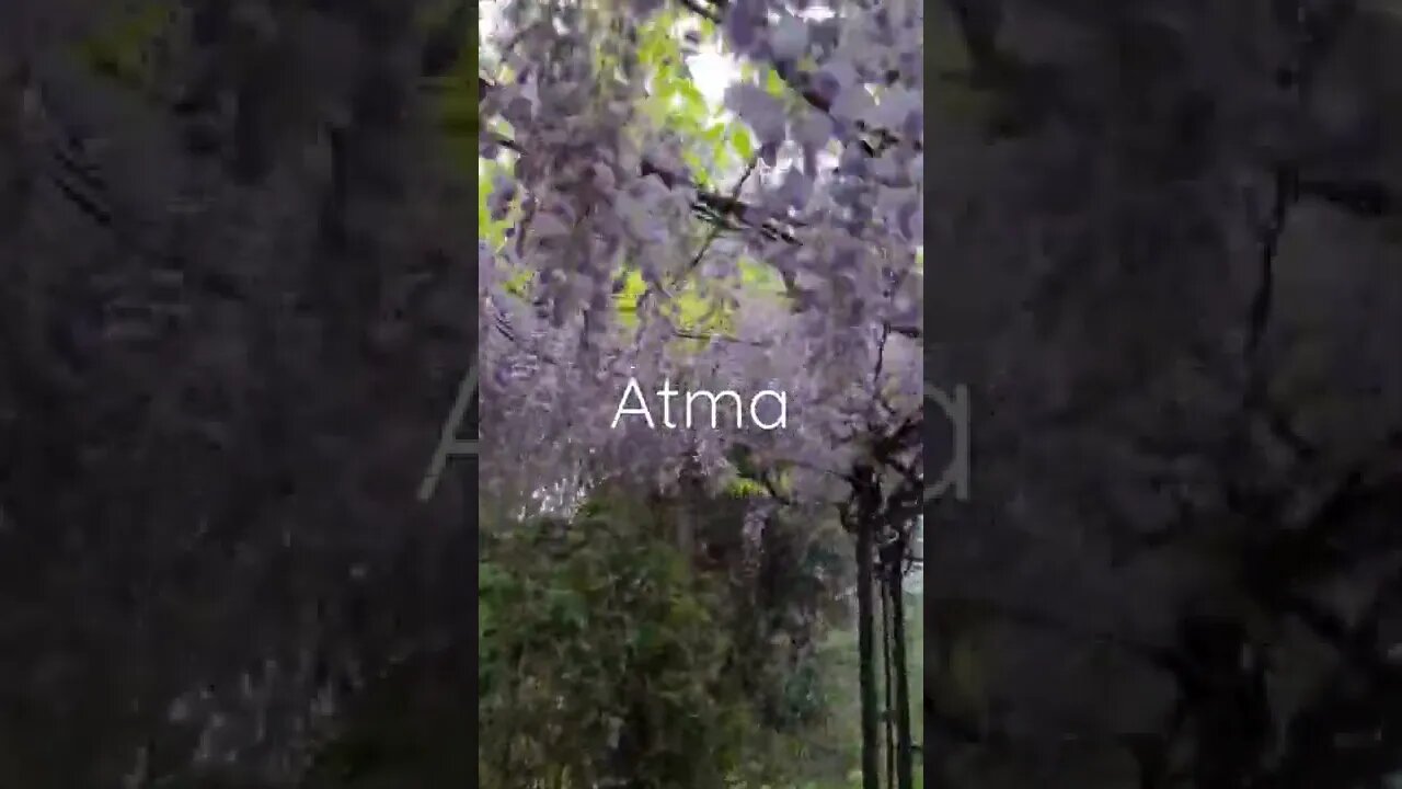 Atma carstvo / Salona 🙏🌱