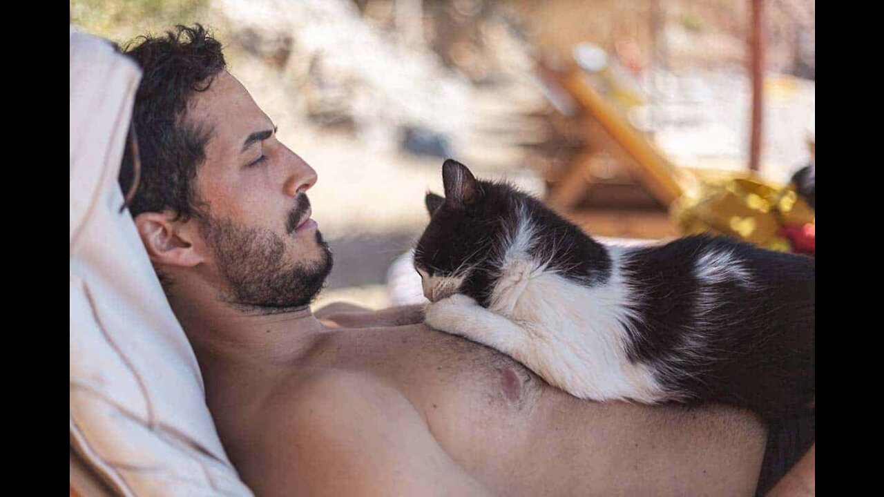 Here’s What It Really Means When Your Cat Curls Up With You For Cuddle