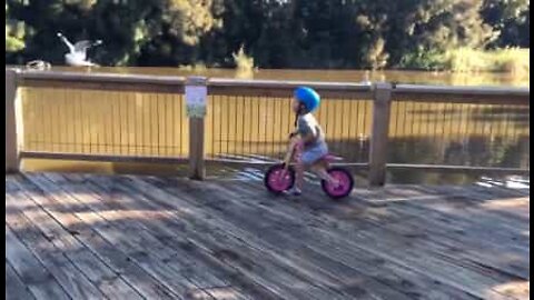 Sjov lille dreng jagter fugle på sin balancecykel