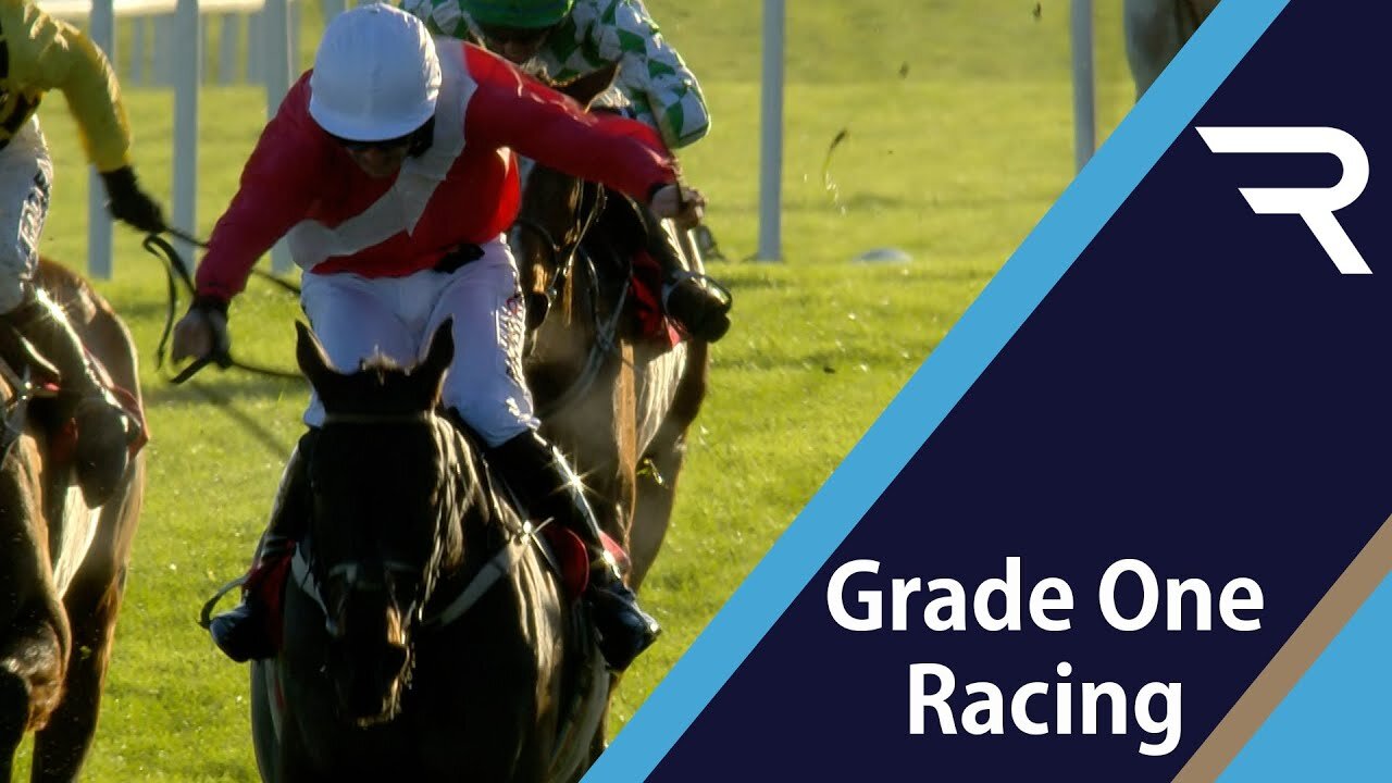 Allaho BATTLES to success in an eventful John Durkan Memorial Chase at Punchestown