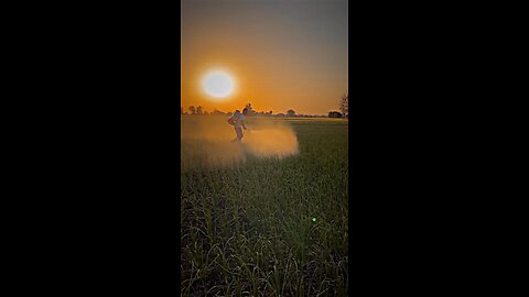 farmer