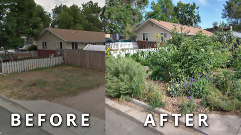 Create Your Own FOOD FOREST In 3 Steps [How To Transform Any Piece of Land Quickly]