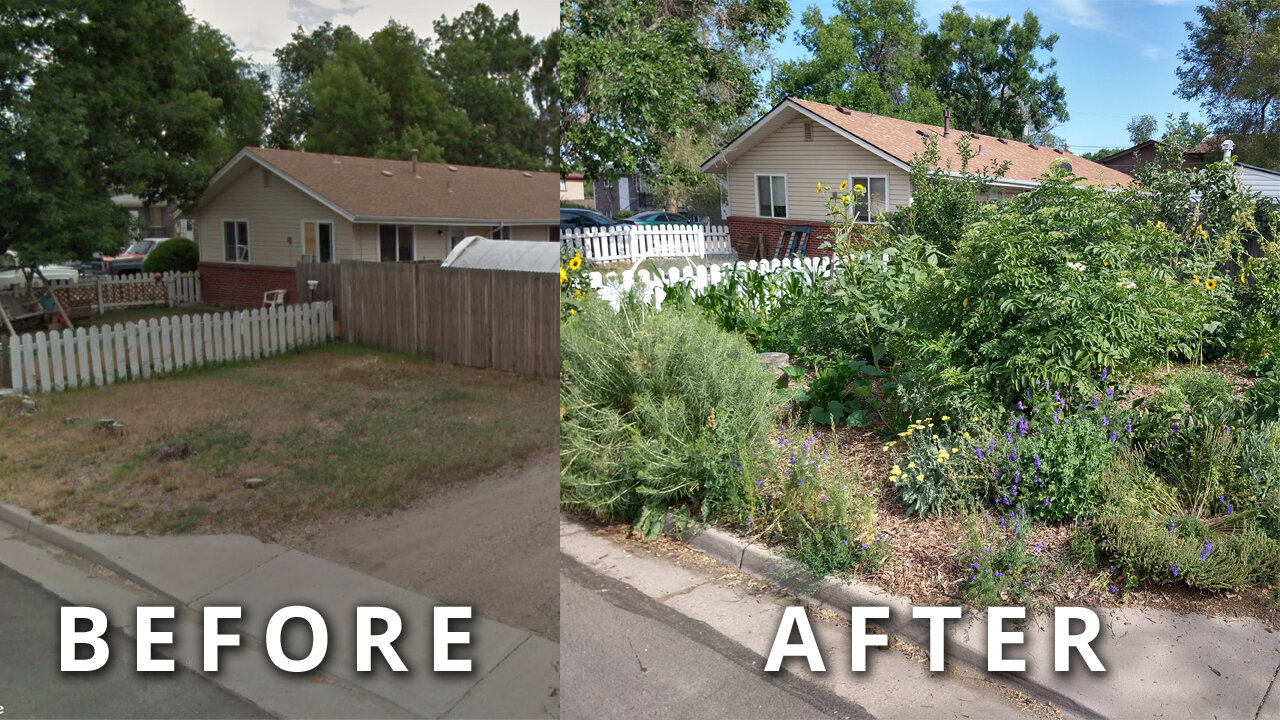 Create Your Own FOOD FOREST In 3 Steps [How To Transform Any Piece of Land Quickly]