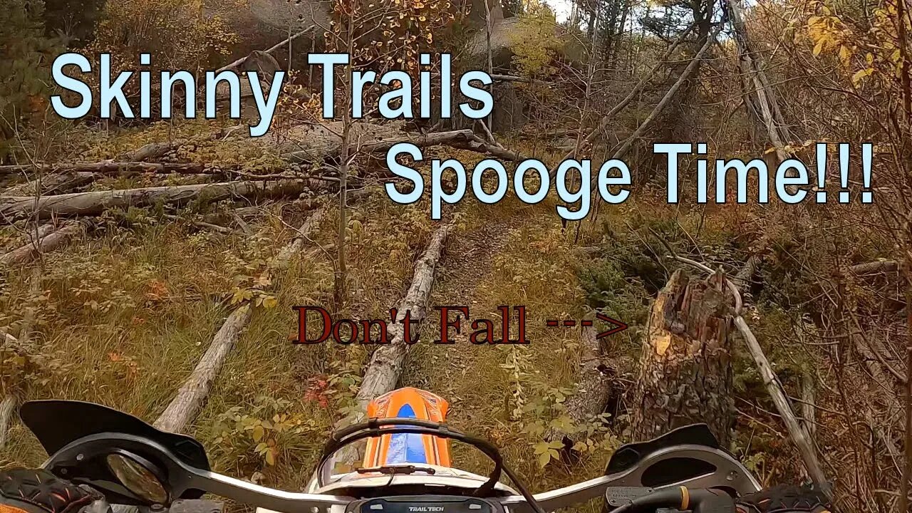 Singletrack - Enjoying the Fall Colors on some skinny lines!