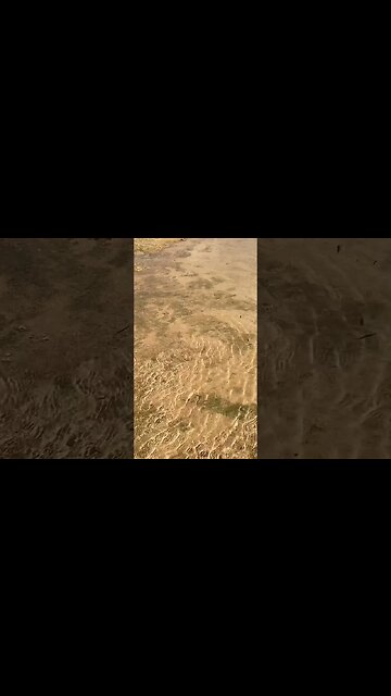 TIDES & TUNES #beach