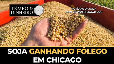 Soja ganhando fôlego em Chicago