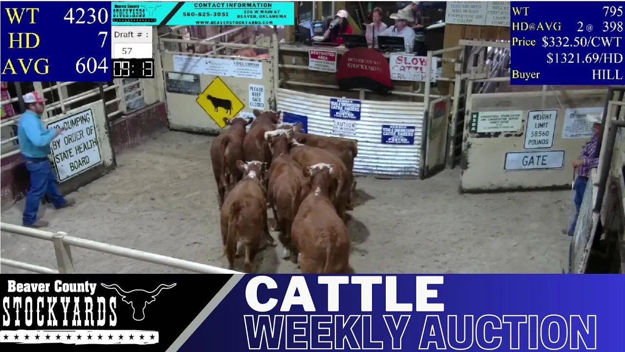 8/29/2023 - Beaver County Stockyards Livestock Auction