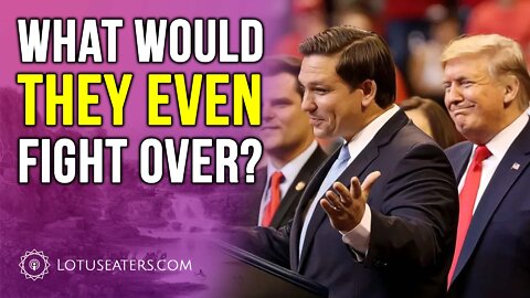 Why Does The Media Want Trump vs DeSantis?