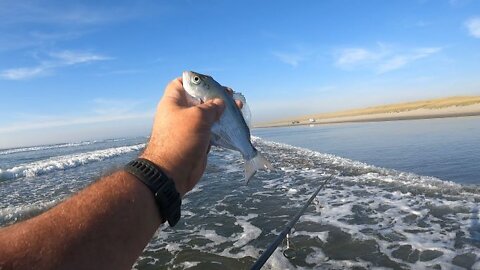 Seaside Oregon Surf Perch Fishing
