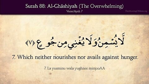 Chapter 88 - Al Ghashiyah - The Overwhelming