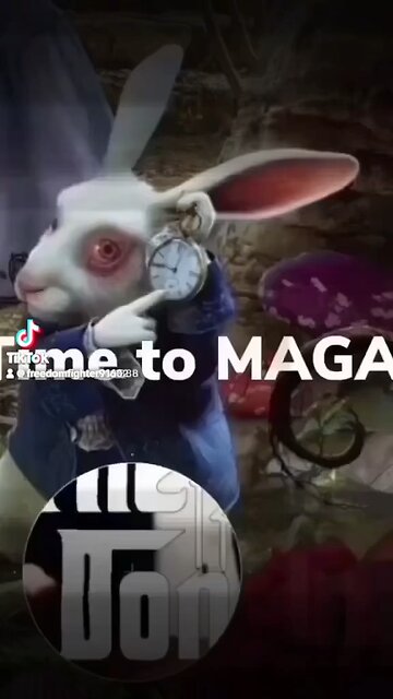 TIME TO MAGA🇺🇸🏴