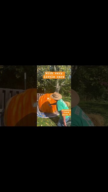 Bubba Pumpkin #bubba #pumpkinpatch #fallideas