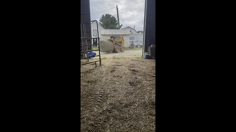 we got the hay in before the rain