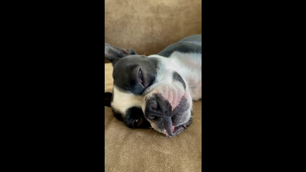🤣
