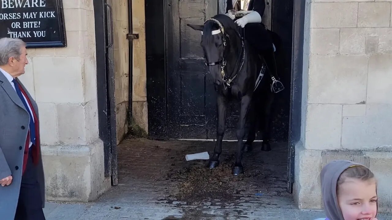 Horse scared by a piece of papper #horseguardsparade