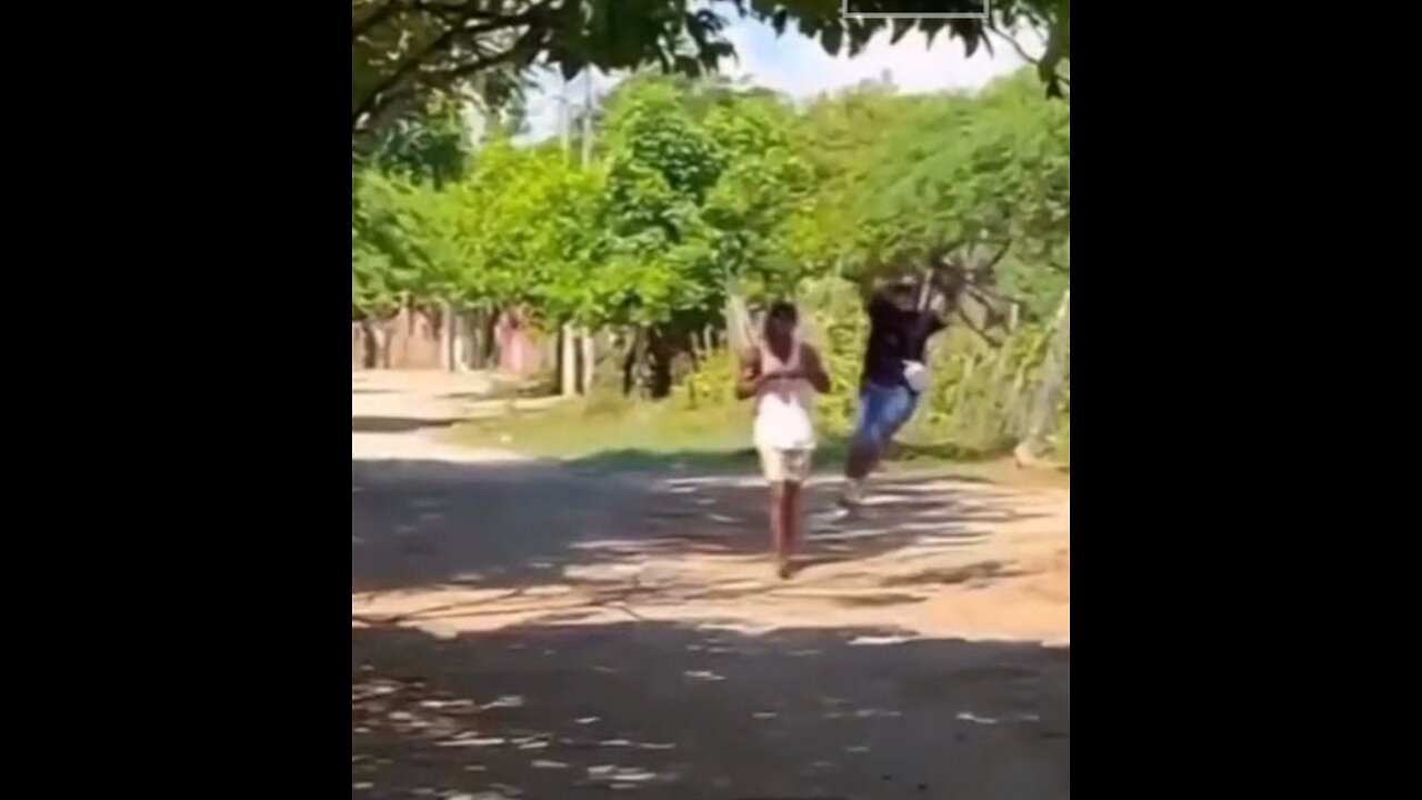 spider man is a funny videos