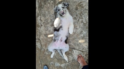 don't take your eyes off, cuteness at sight