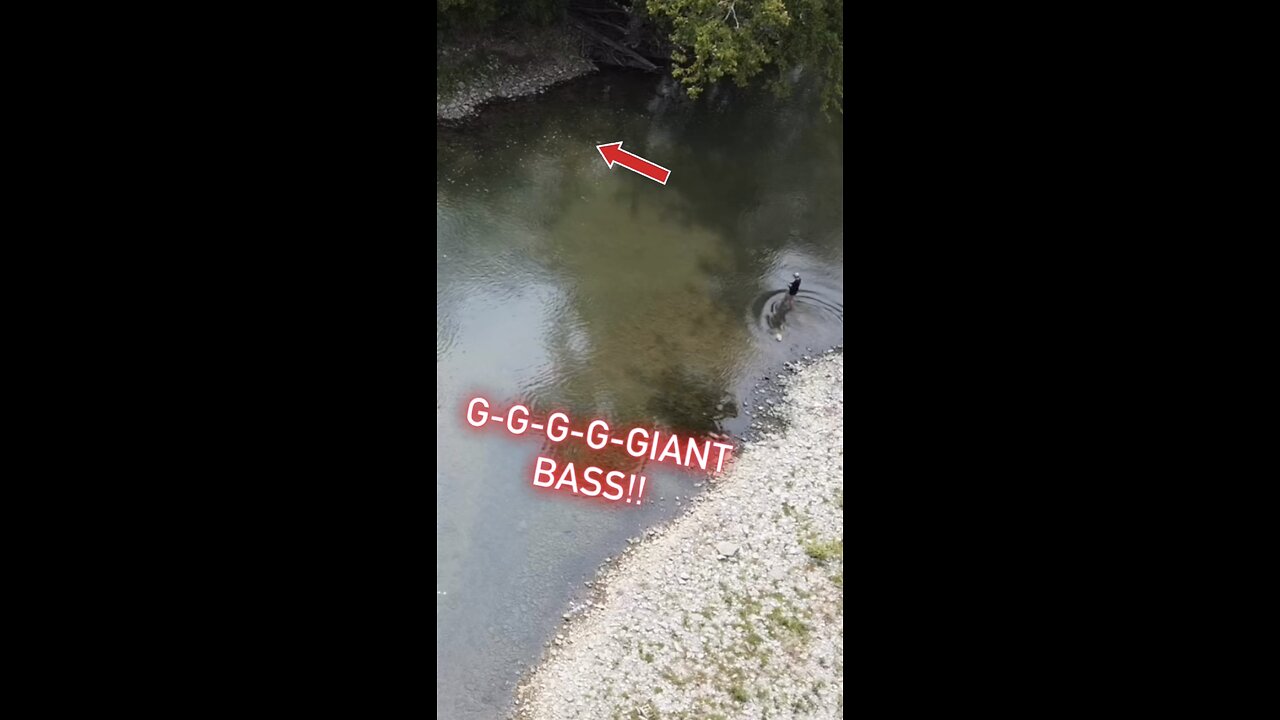 GIANT BASS!!