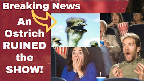 OSTRICH RUINED THE SHOW! MUST WATCH!