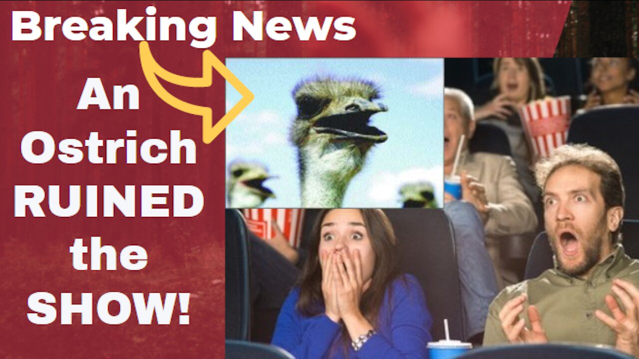 OSTRICH RUINED THE SHOW! MUST WATCH!