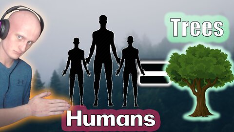 Trees Are Equal To Humans