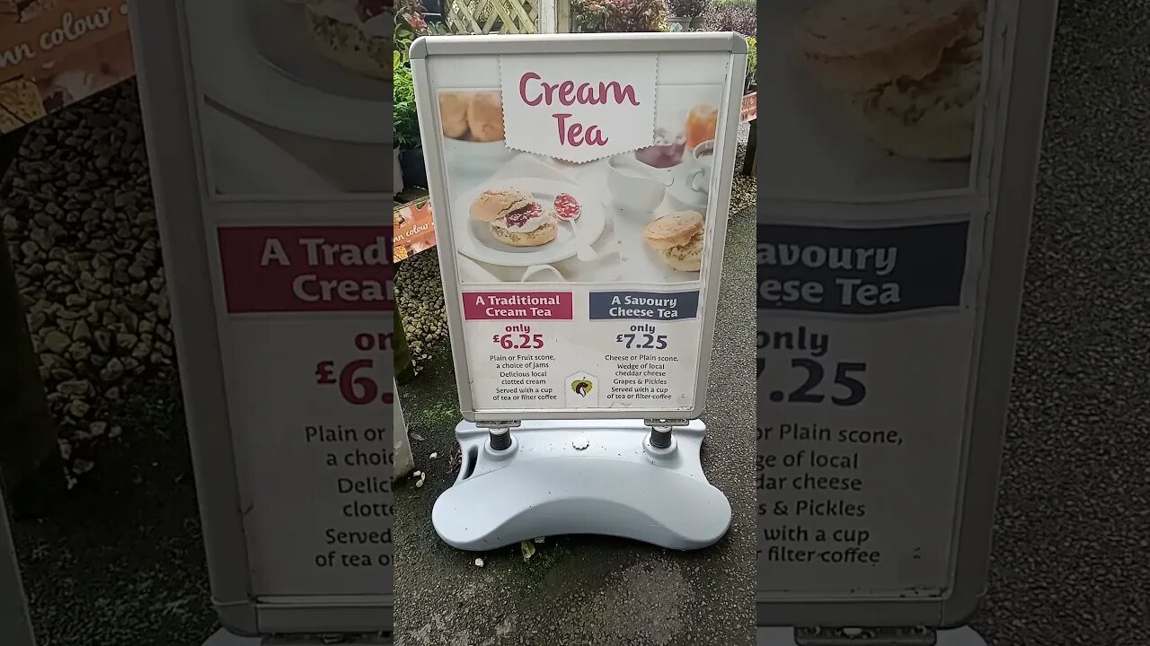 Cream Tea treat time for the Knotman