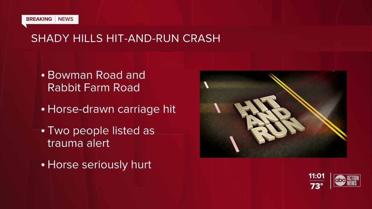 Shady Hills hit-and-run crash