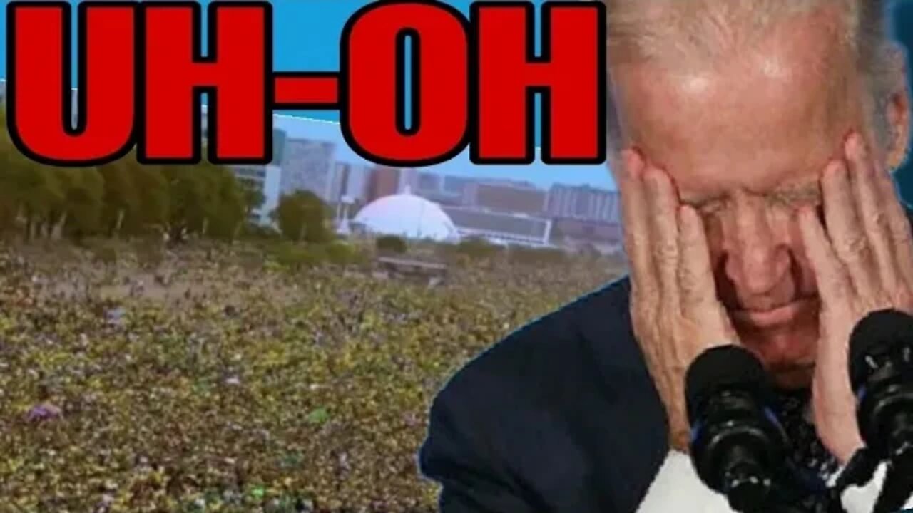 BRAZIL CITIZENS FIGHT BACK