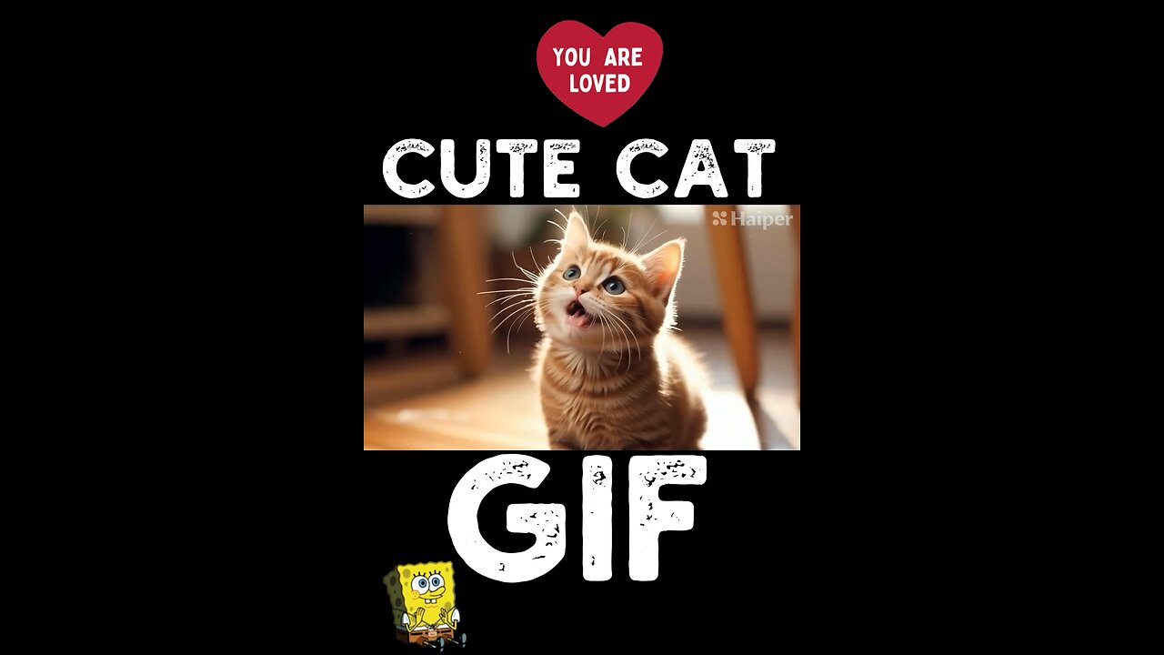 Cute Cat Gif