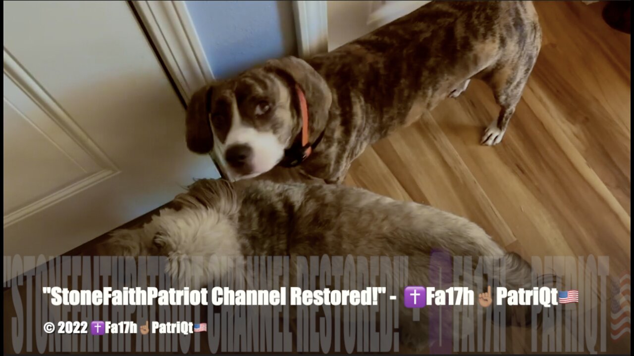 "StoneFaithPatriot Channel Restored!" - ✝️Fa17h☝🏽PatriQt🇺🇸