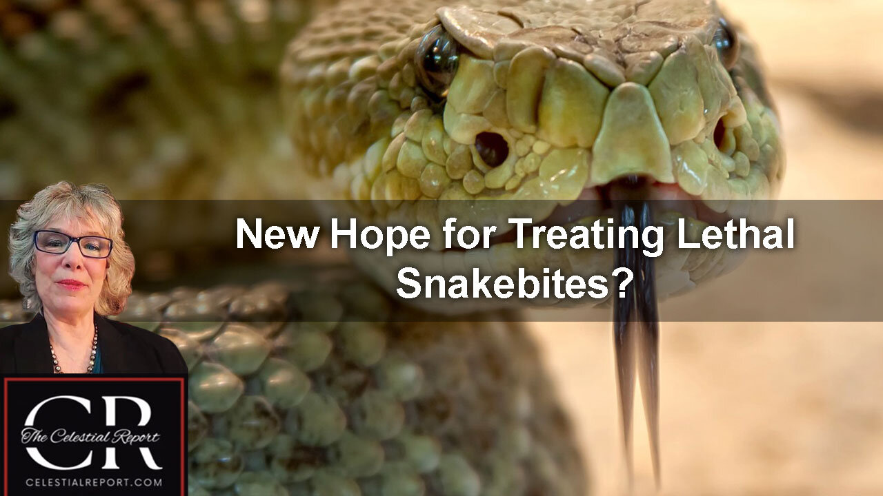 New Hope for Treating Lethal Snakebites?