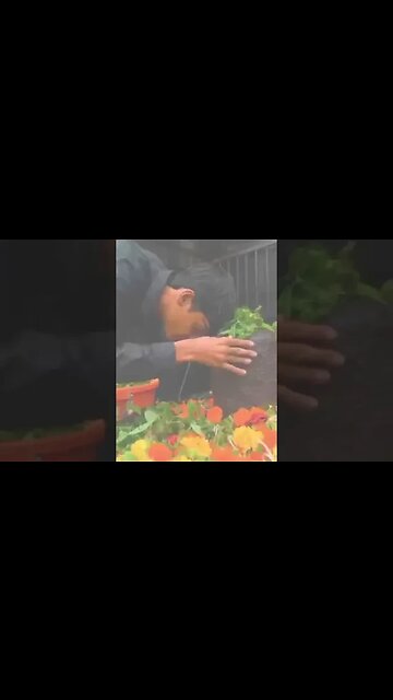 Jai Baba Bhole Nath #short #viral #baba #bhole #bholenathstatus #shorts #status #unofficialstatus