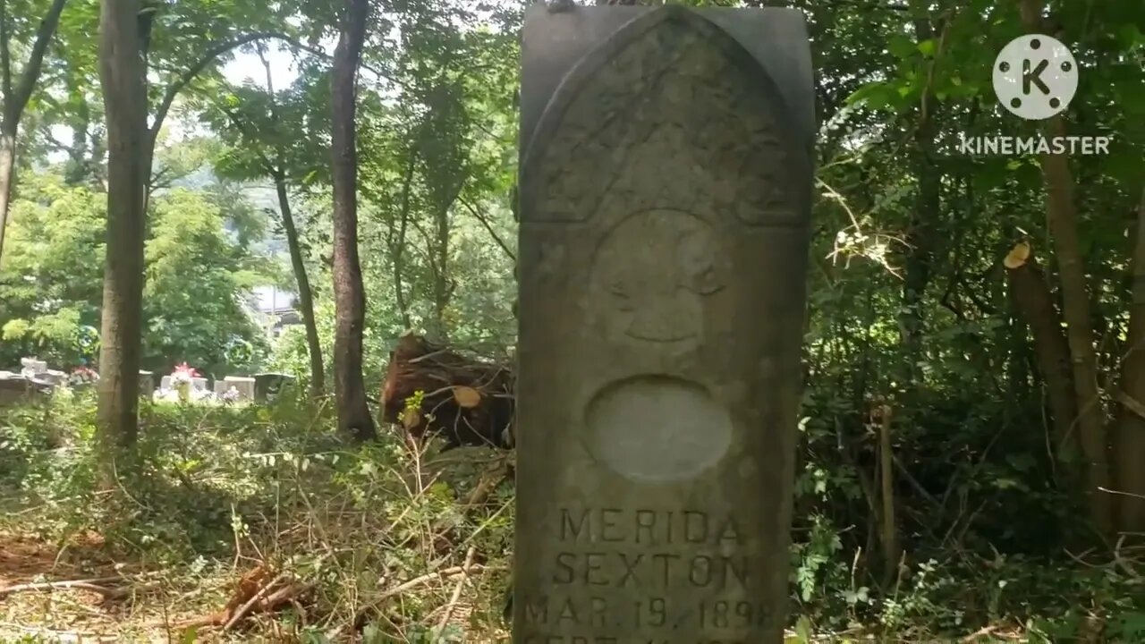 Sandlick Cemetery Cleanup Part 1 Vid. # 53