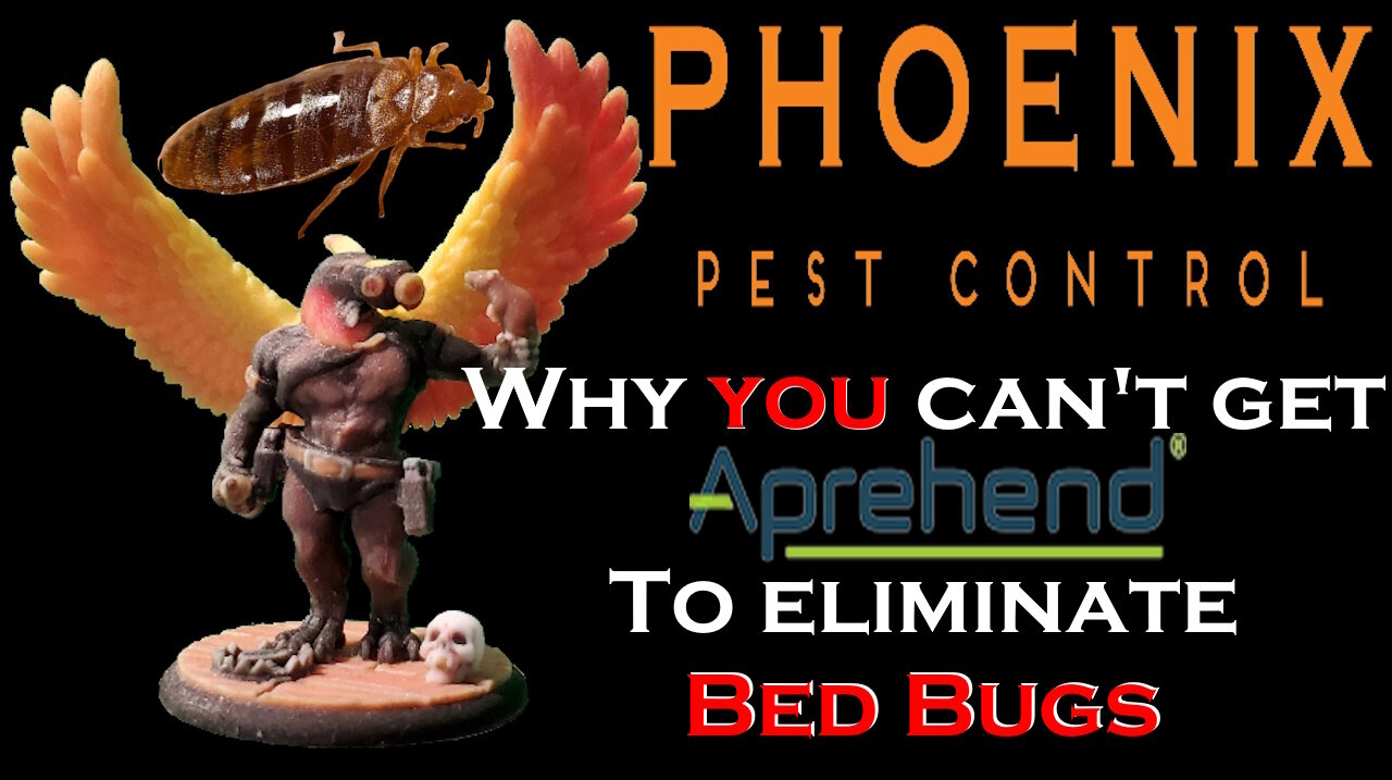 Can you get professional products for Bed Bugs? | Answer to a comment