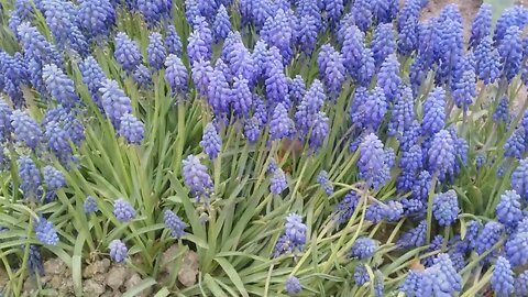 #menkıbe EN GÜZEL MENKIBELERDEN BİR BÖLÜM / "İHTİLAF DEĞİL, GENİŞLİK"