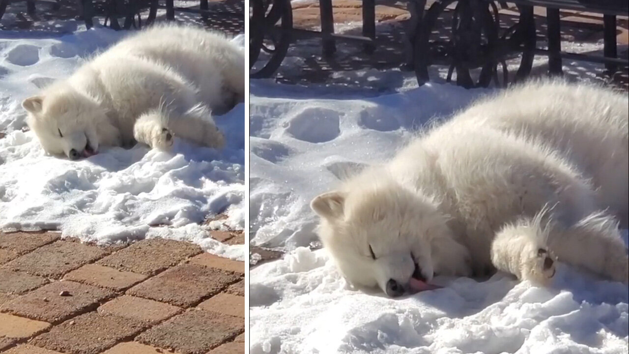 Live look at me trying to drink water with this hangover.