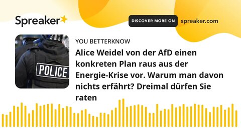 Alice Weidel von der AfD einen konkreten Plan raus aus der Energie-Krise vor. Warum man davon nichts