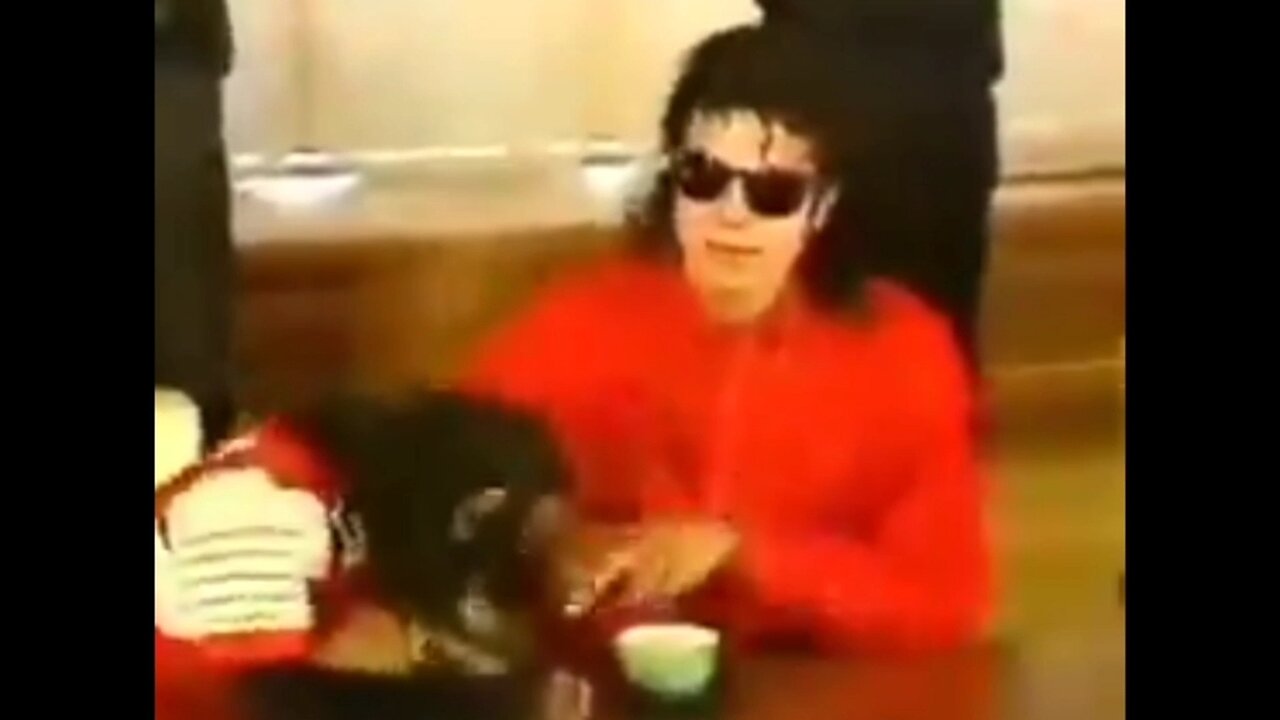 The time Michael Jackson told his pet chimp to sit down in sign language.