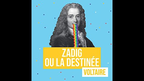 Zadig ou la destinée