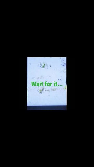 You Never Know Who's Watchin'....