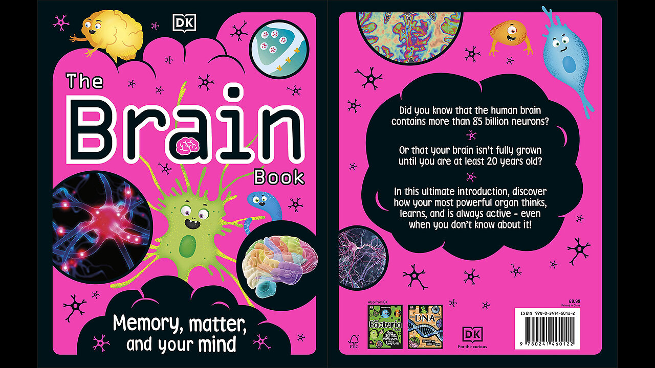 The Brain Book