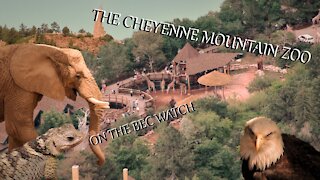 BEC Watch Entries: #3 The Cheyenne Mountain Zoo