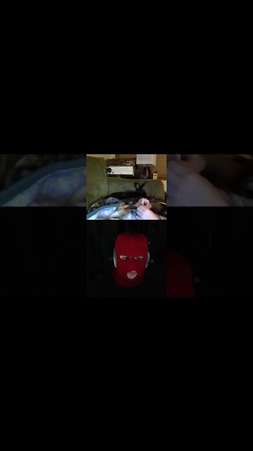 Gen Z girl hurts my feelings